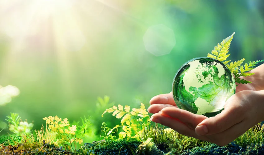 Green Initiative and Reducing Carbon Footprints
